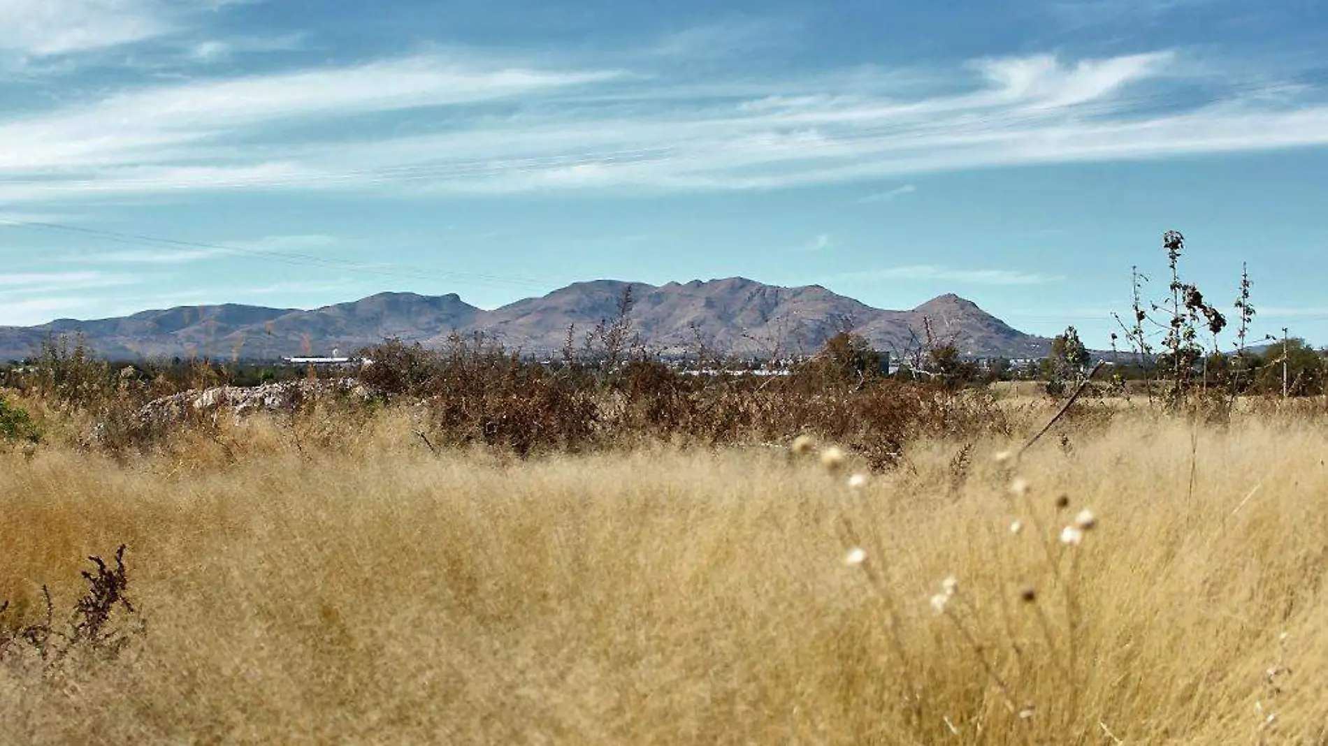 Cerro del Muerto